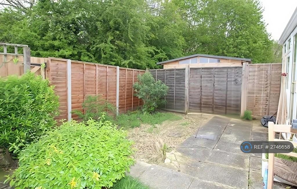 Back Garden