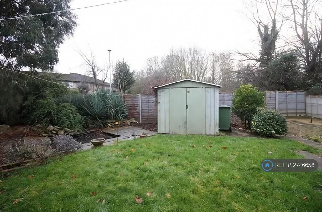 Back Garden