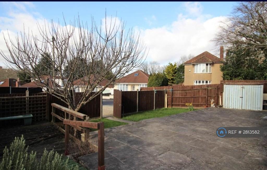 Communal Garden With Bike Shed