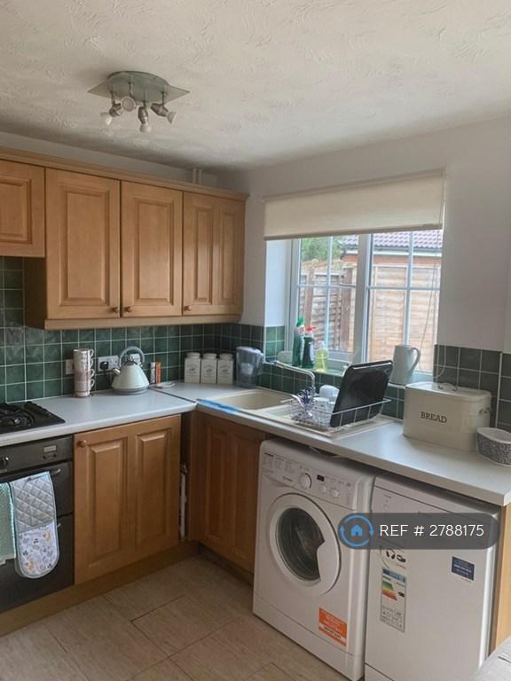 Brand New Appliances