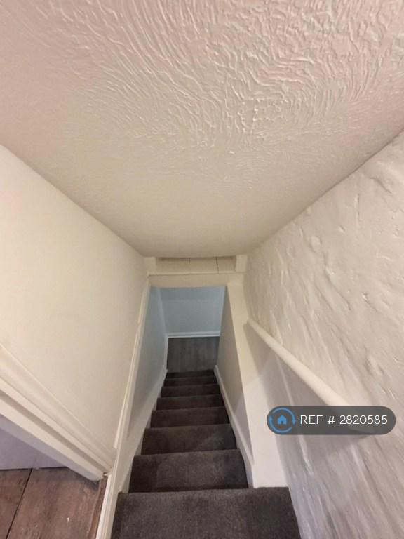 Stairs (Cellar)