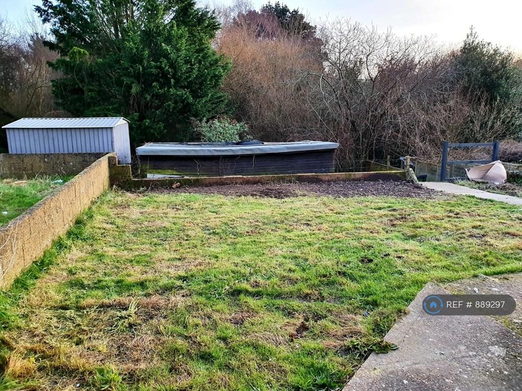 Back Garden