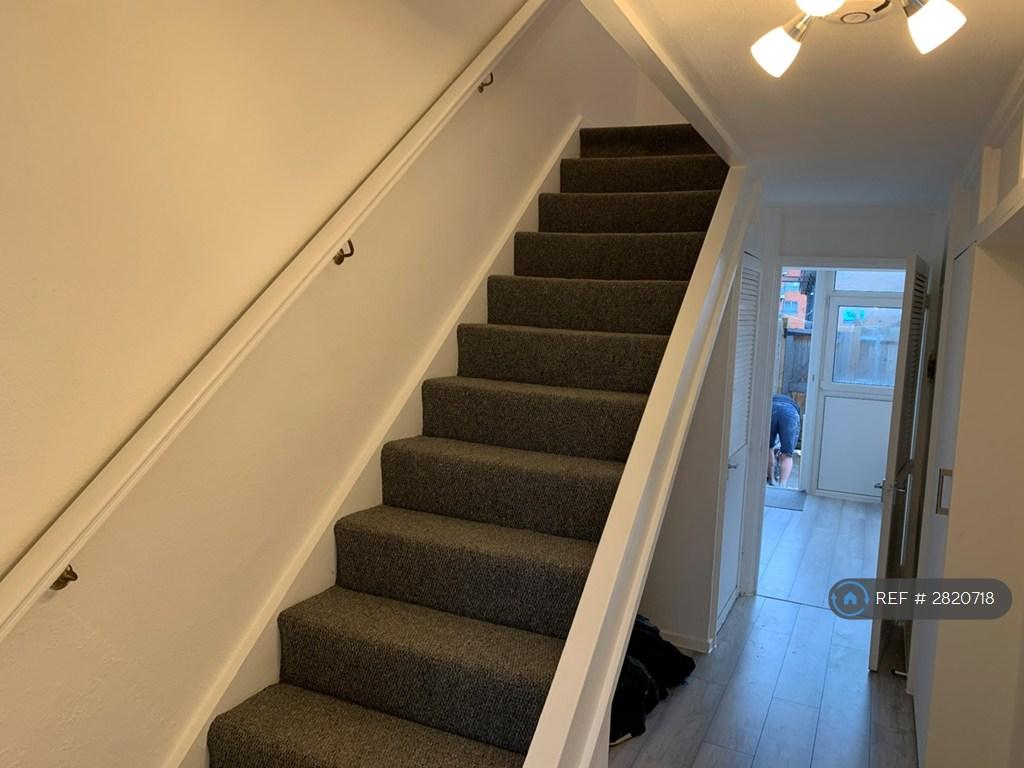 Downstairs Hallway