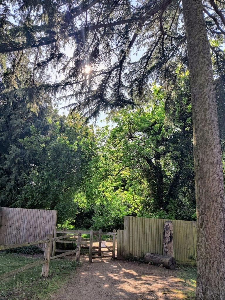 Queen Mary Woodland