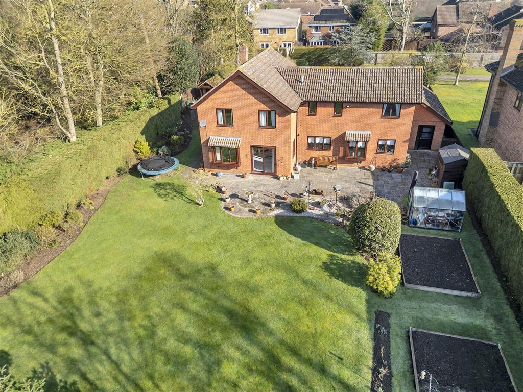 DJI 0783.jpg