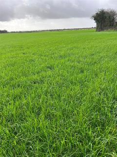 undefined, Mowing Grass, Severnside Rifle Range, Monmouthshire NP26