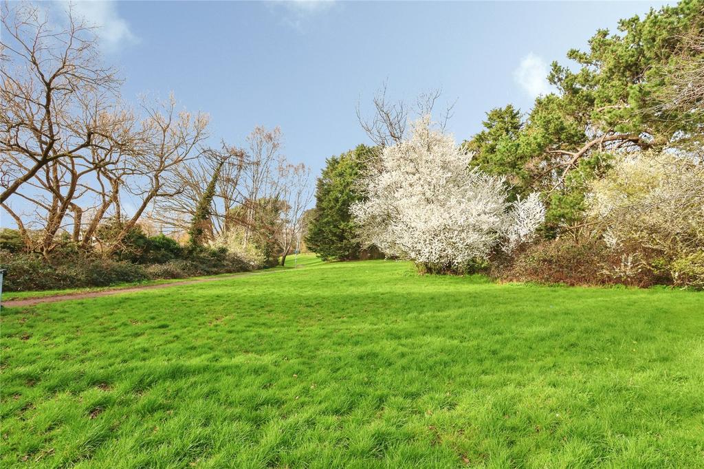 Exterior Green Space