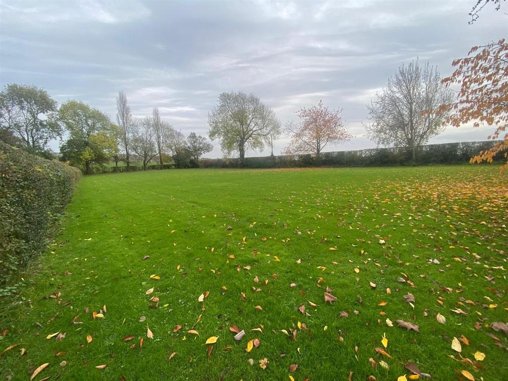 GARDEN 5.jpg