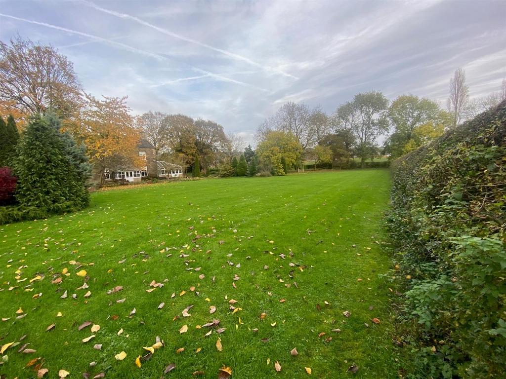 GARDEN 6.jpg