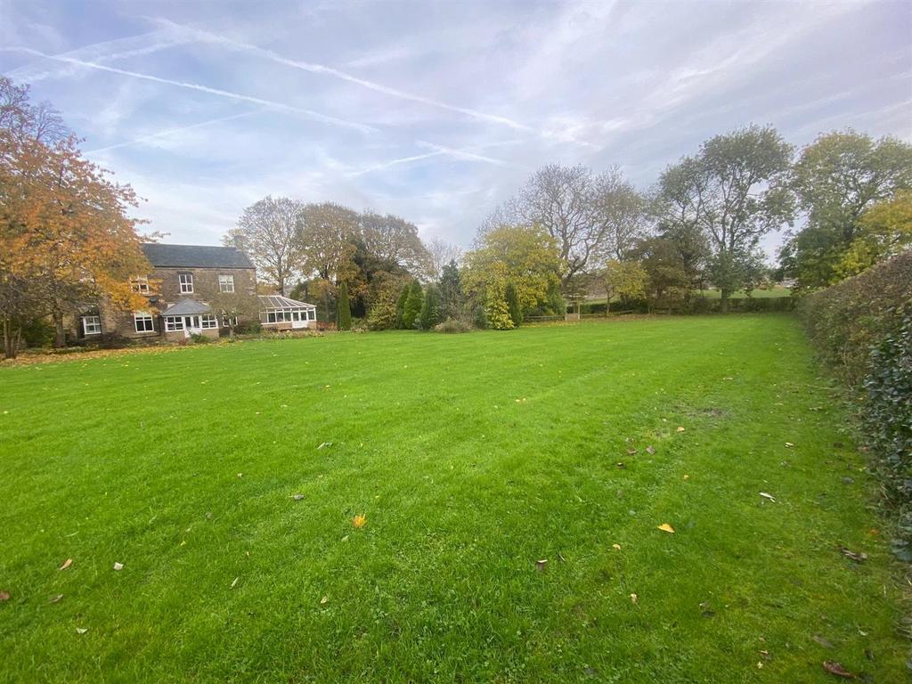 GARDEN 7.jpg