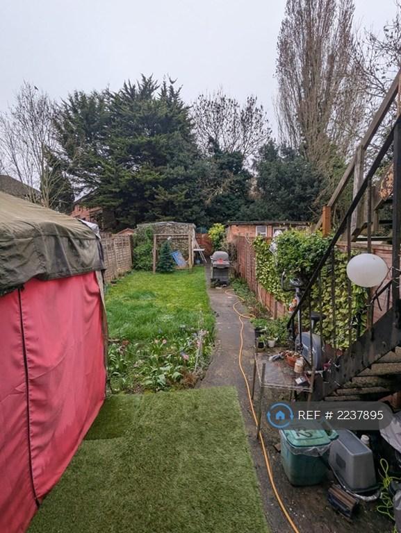 Back Garden