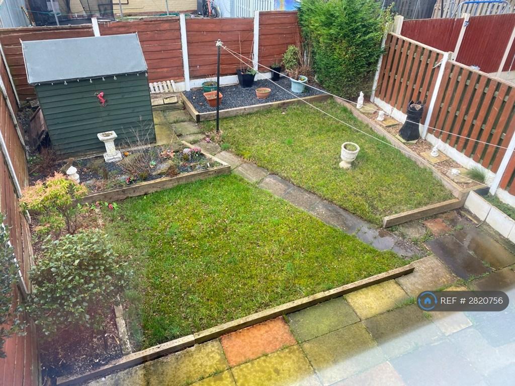 Back Garden