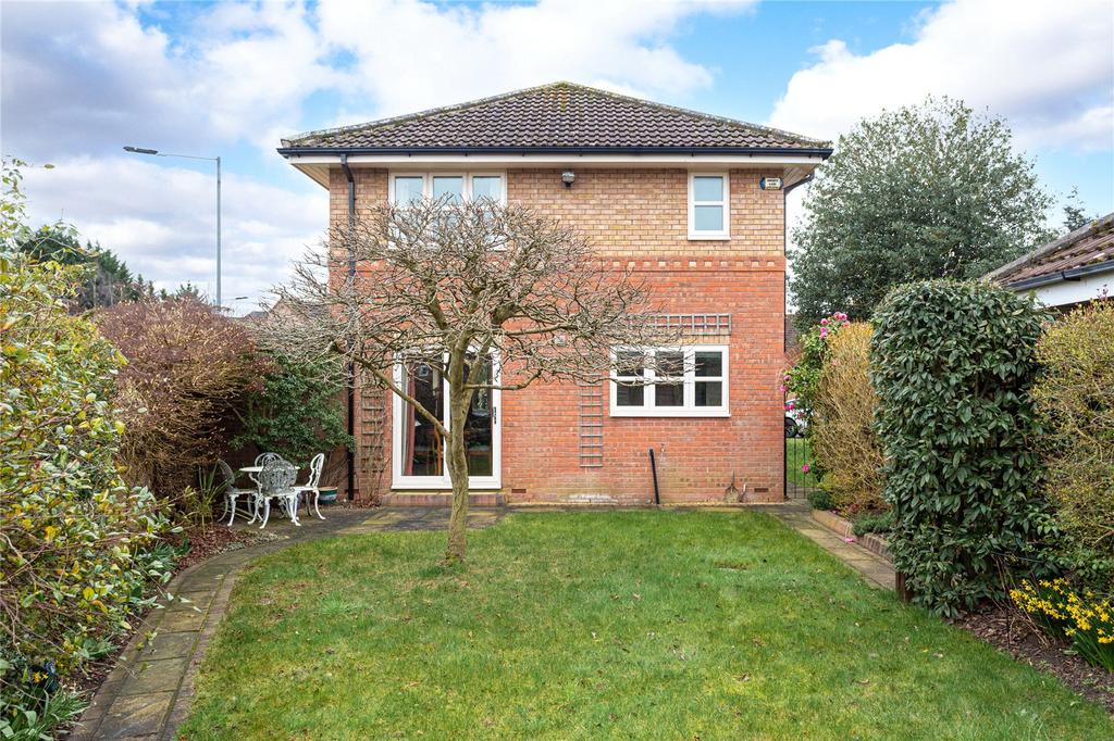 Photos