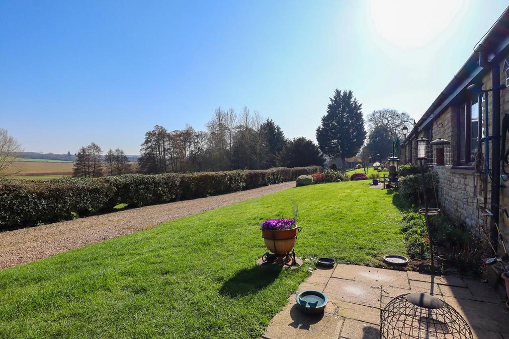 Garden view, garden