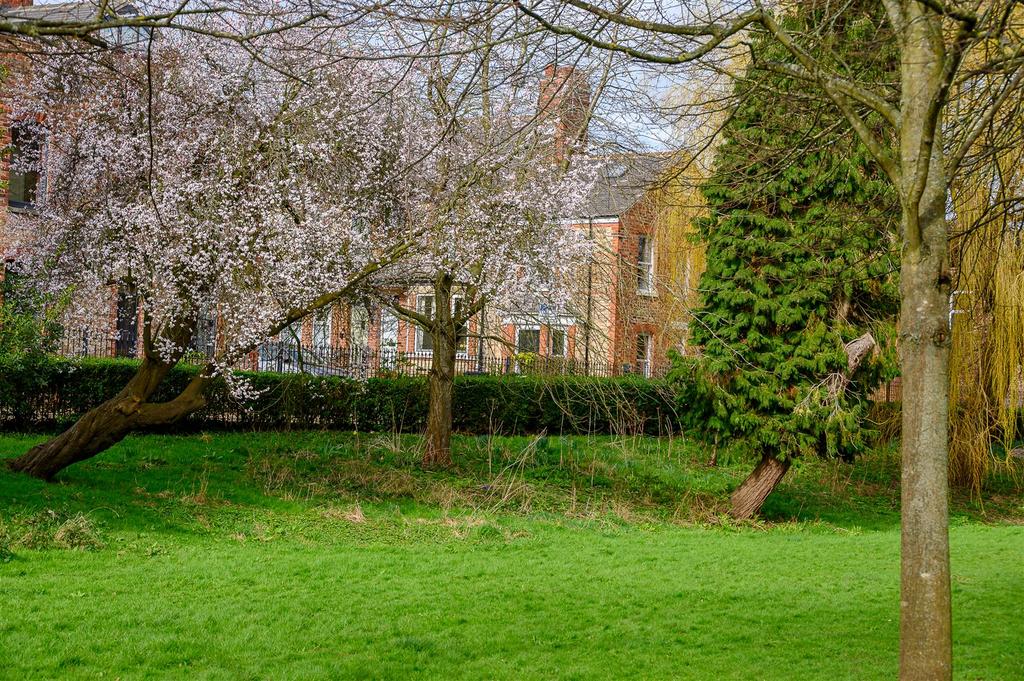 Rowntree park