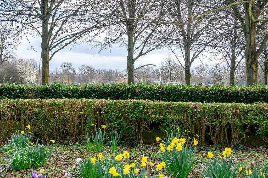 Rowntree park