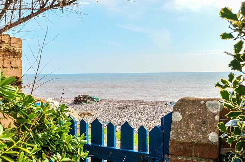 View From Garden