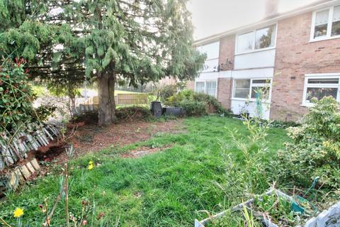 undefined, Cloverfield, Harlow