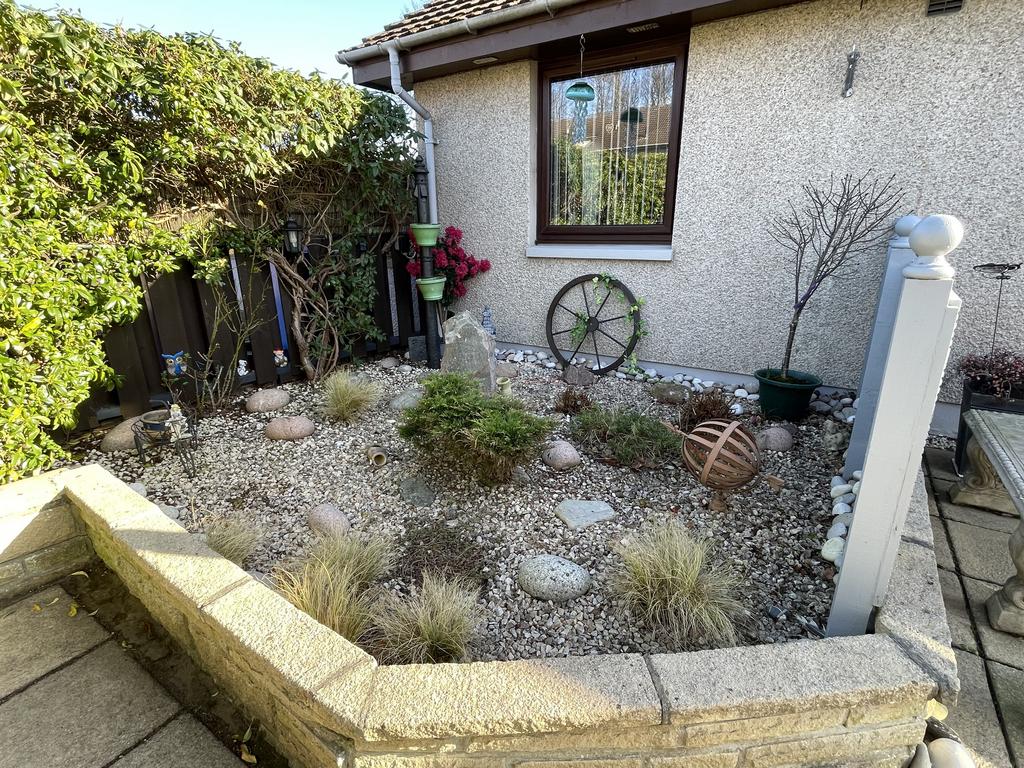 Garden d.JPG