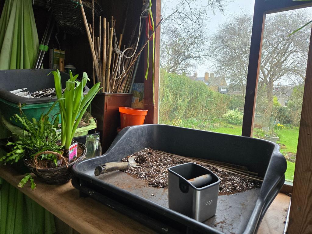 Planting Area in the Shed