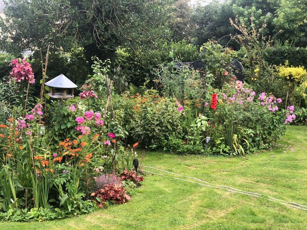 The Garden in Bloom