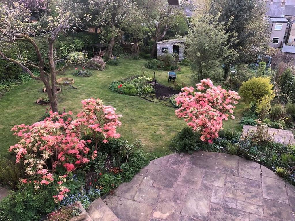 Views of the Garden in Bloom