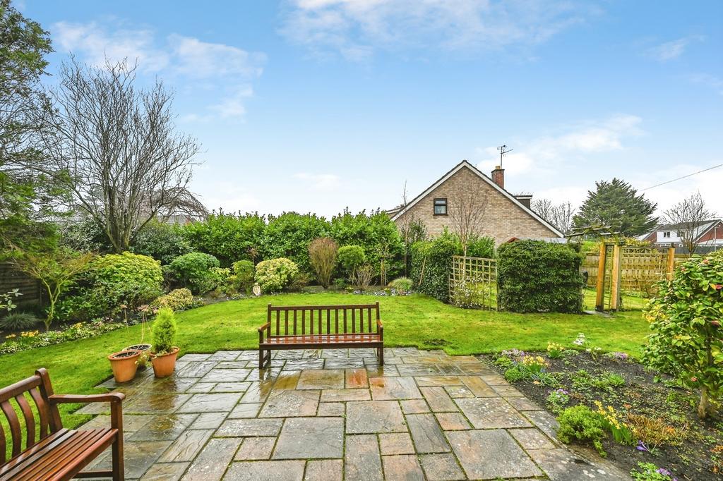 Pbox-IMG.jpg