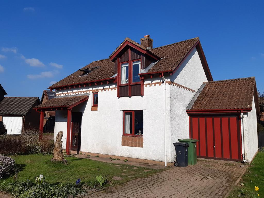 Main Image