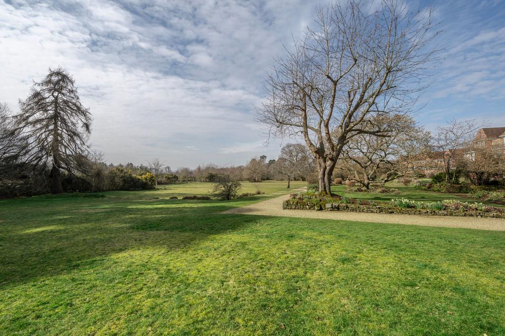 Lawn
