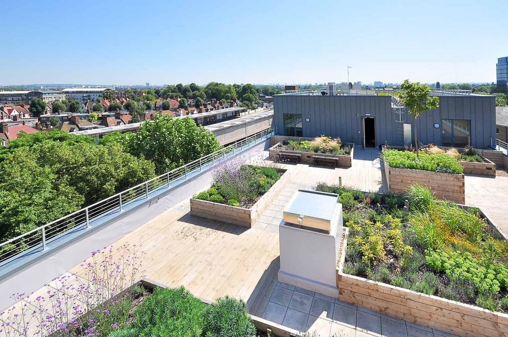 Terrace / Patio