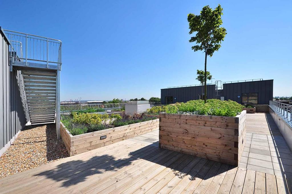 Terrace / Patio