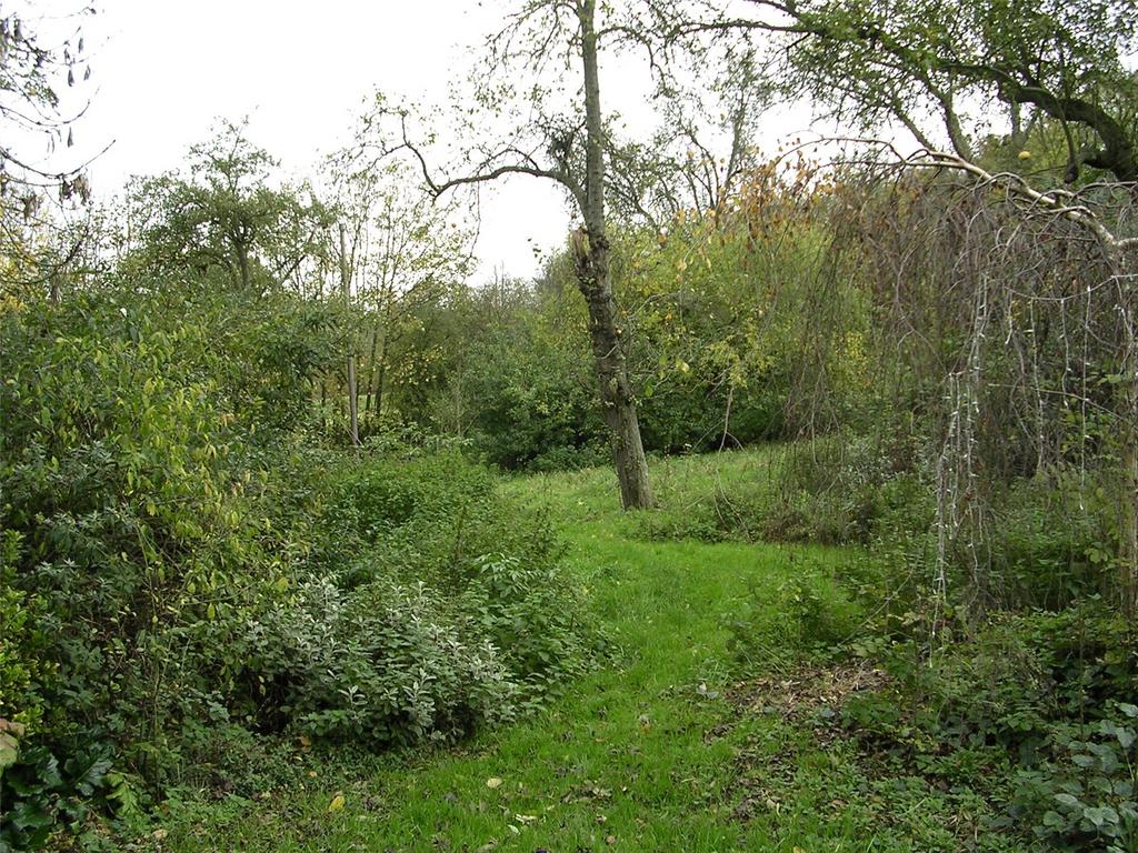Picture 12