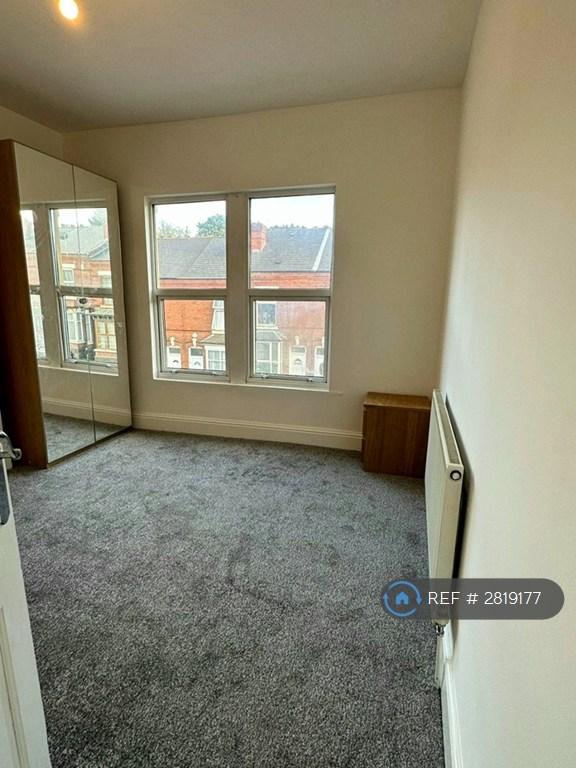 Recent Carpets Throughout