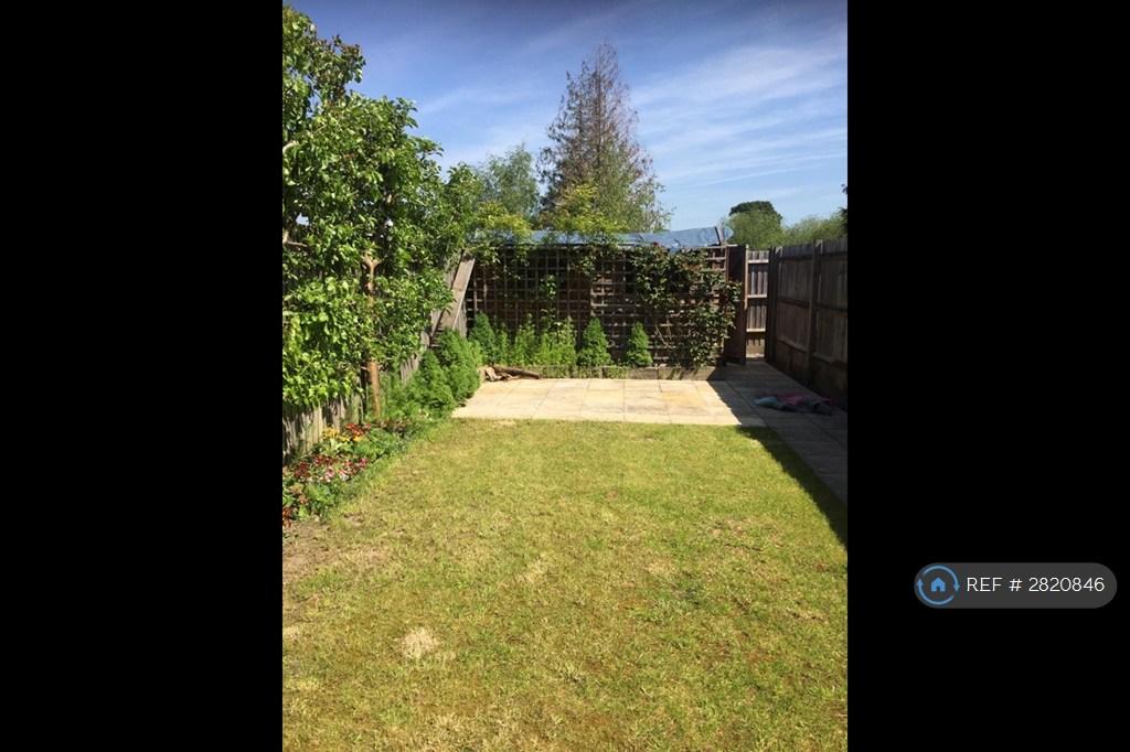 The Garden