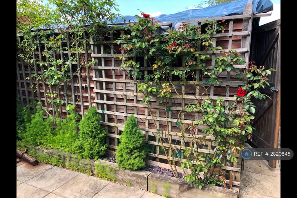 The Garden