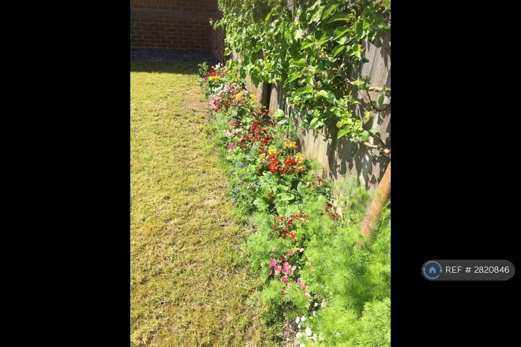 The Garden Flower Bed