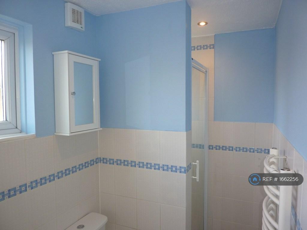 Bathroom Showing Shower