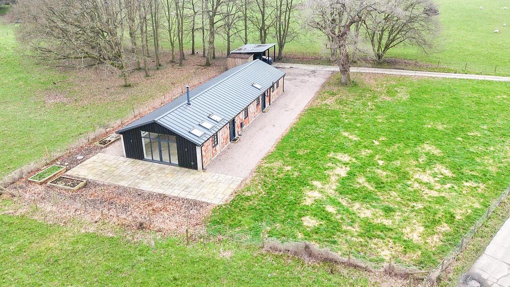 Dji fly 20260225 110222 0 1772017342236 photo low 