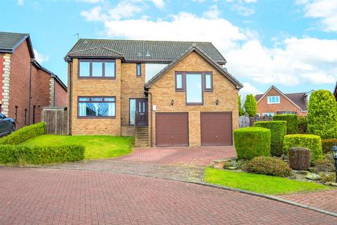 undefined, Hogan Way, Motherwell ML1