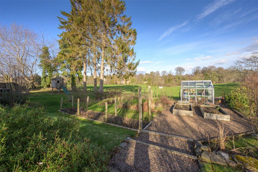 Kitchen Garden