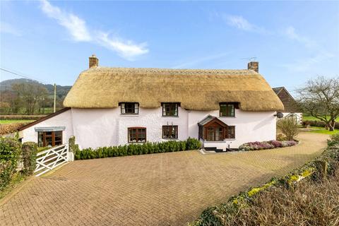undefined, Colyton, Devon, EX24