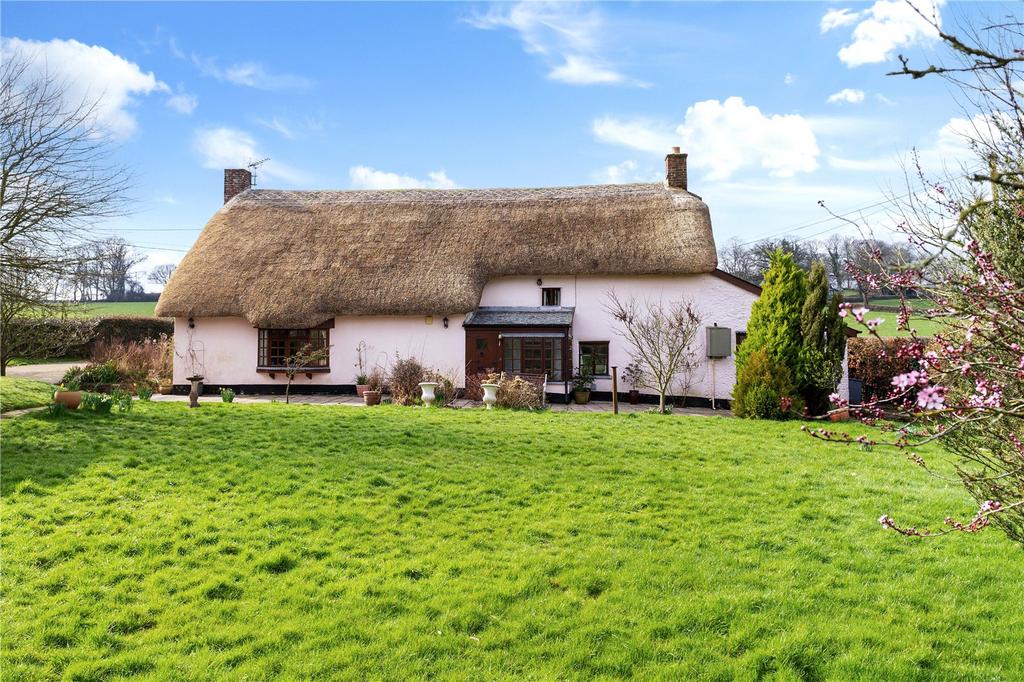 Combe In Hedge