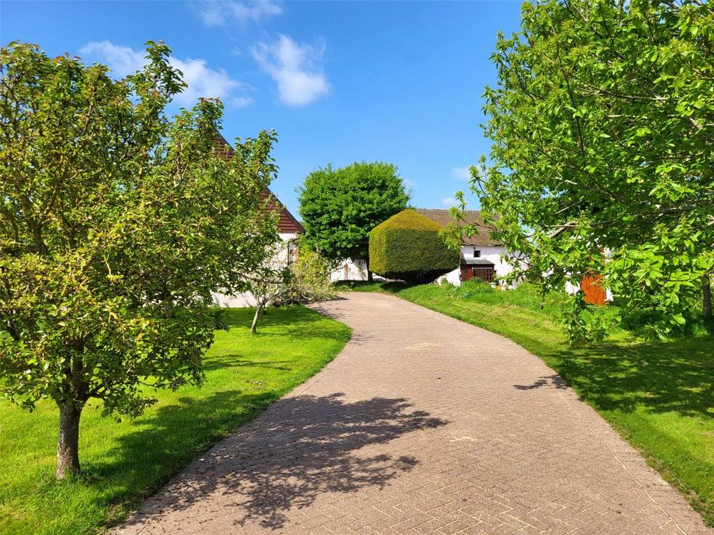 Driveway