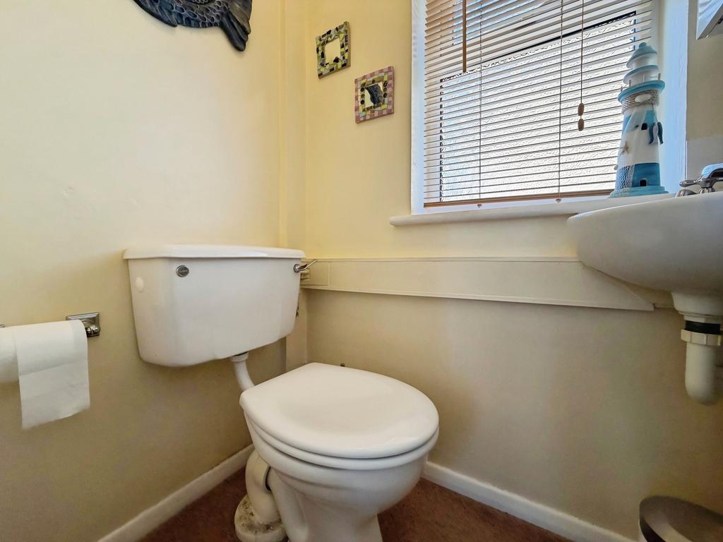 Picture 7