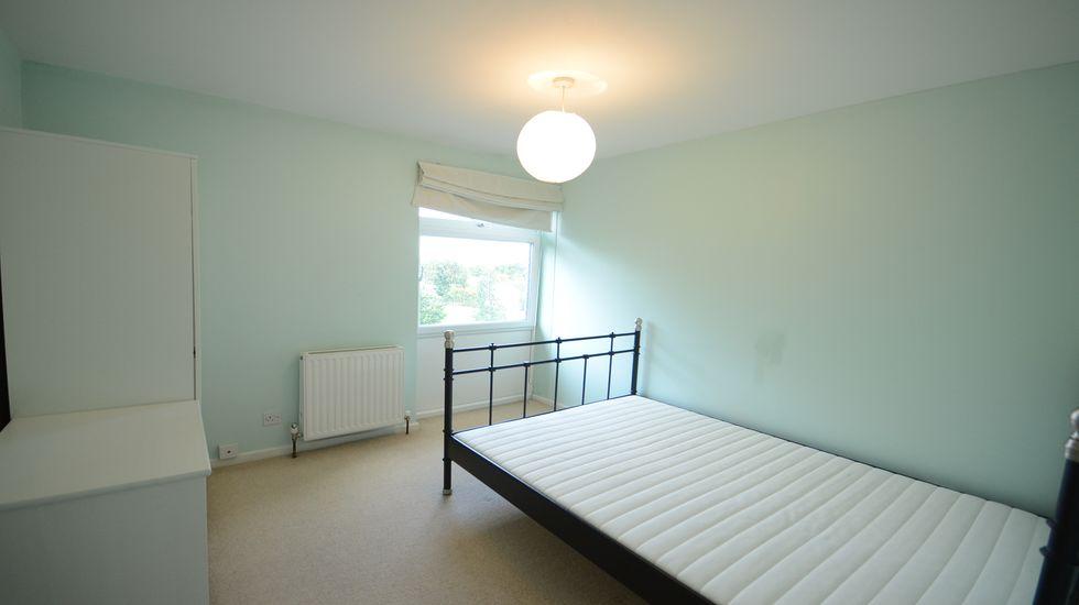 DSC 1176 result.JPG