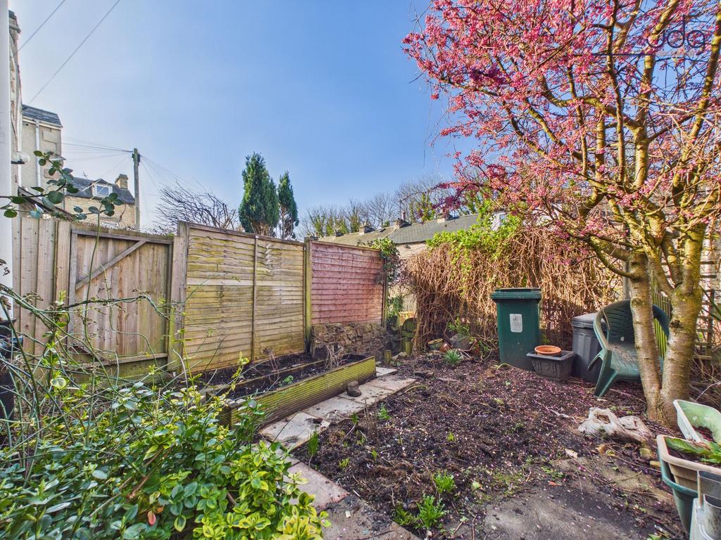 Garden with blossom tree