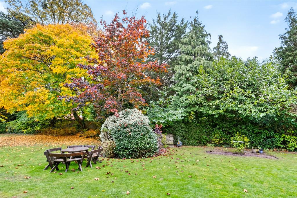 Communal Gardens