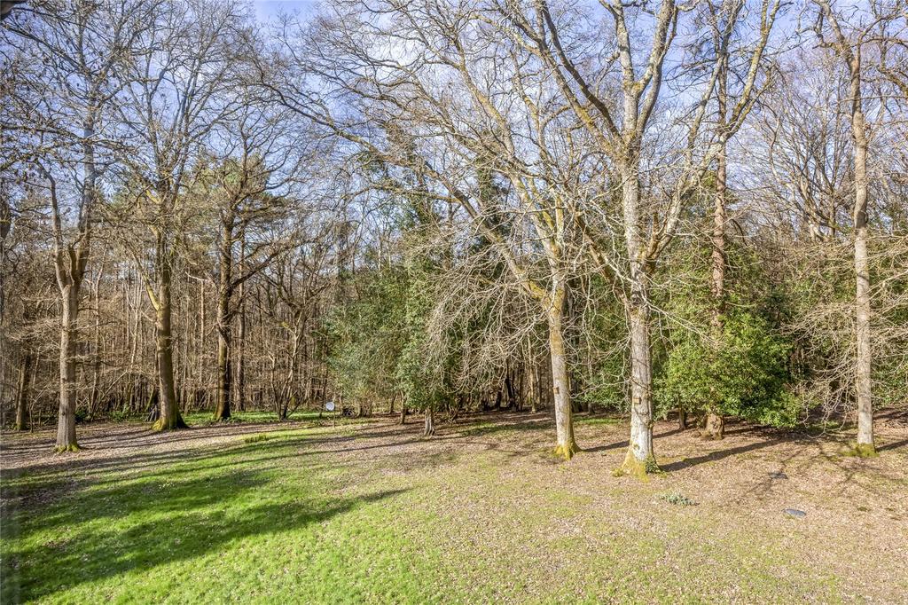 Wooded Garden
