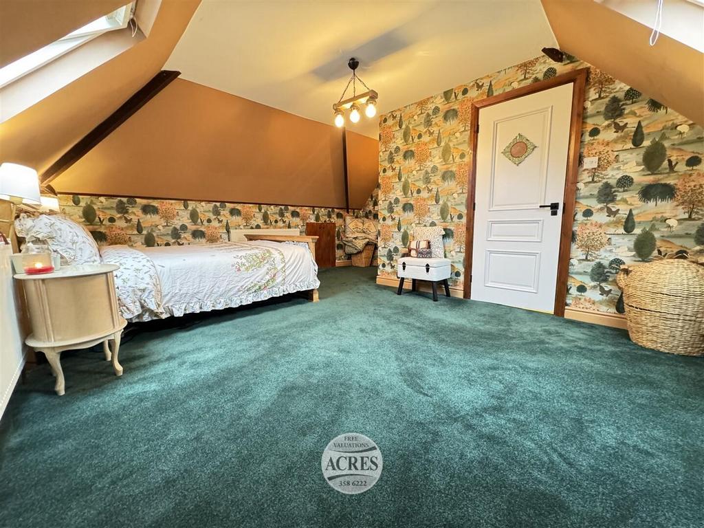 IMG 5719 (Large).jpg