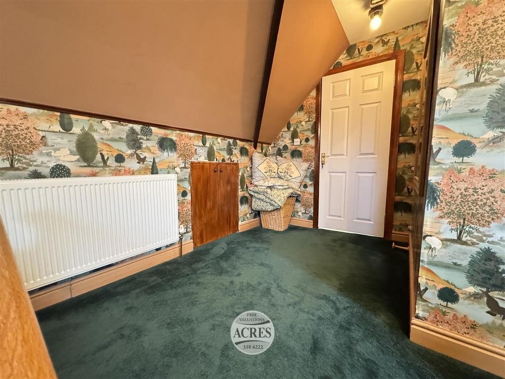 IMG 5725 (Large).jpg